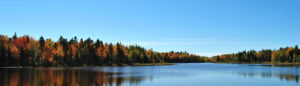 irishtown-nature-park-moncton